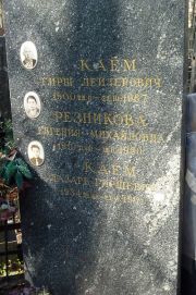 Резникова Евгения Михайловна, Москва, Востряковское кладбище